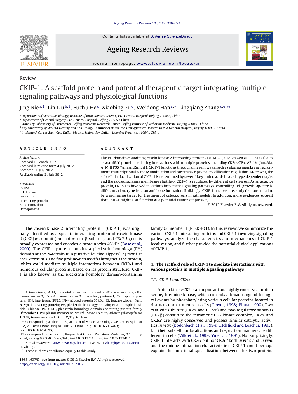 CKIP-1: A scaffold protein and potential therapeutic target integrating multiple signaling pathways and physiological functions