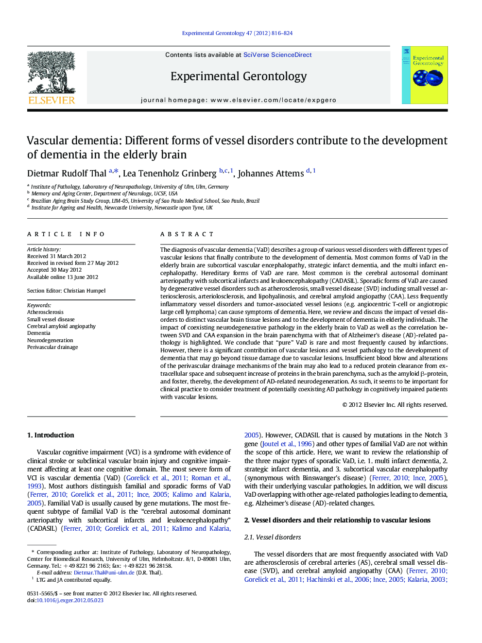 Vascular dementia: Different forms of vessel disorders contribute to the development of dementia in the elderly brain