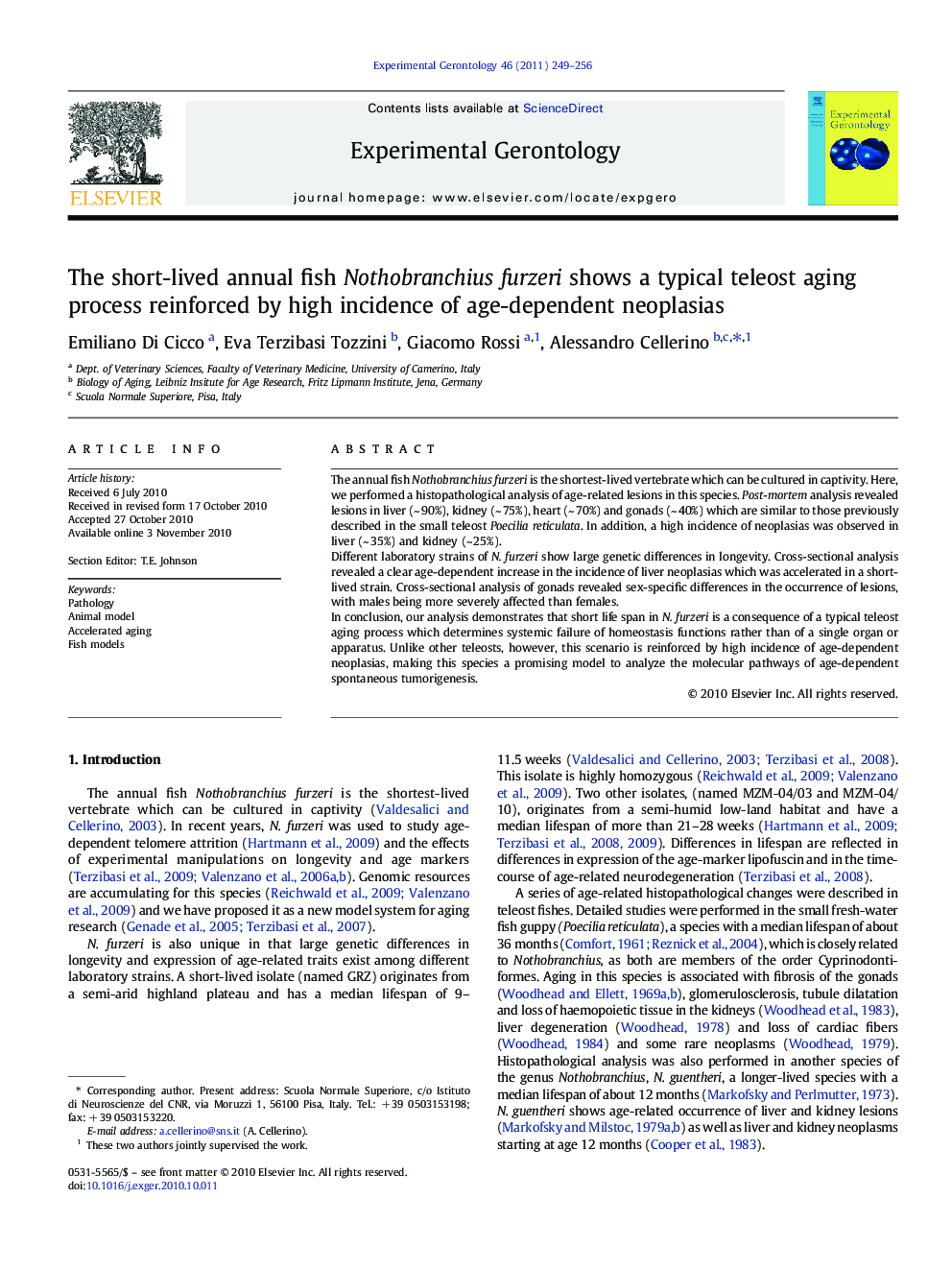 The short-lived annual fish Nothobranchius furzeri shows a typical teleost aging process reinforced by high incidence of age-dependent neoplasias