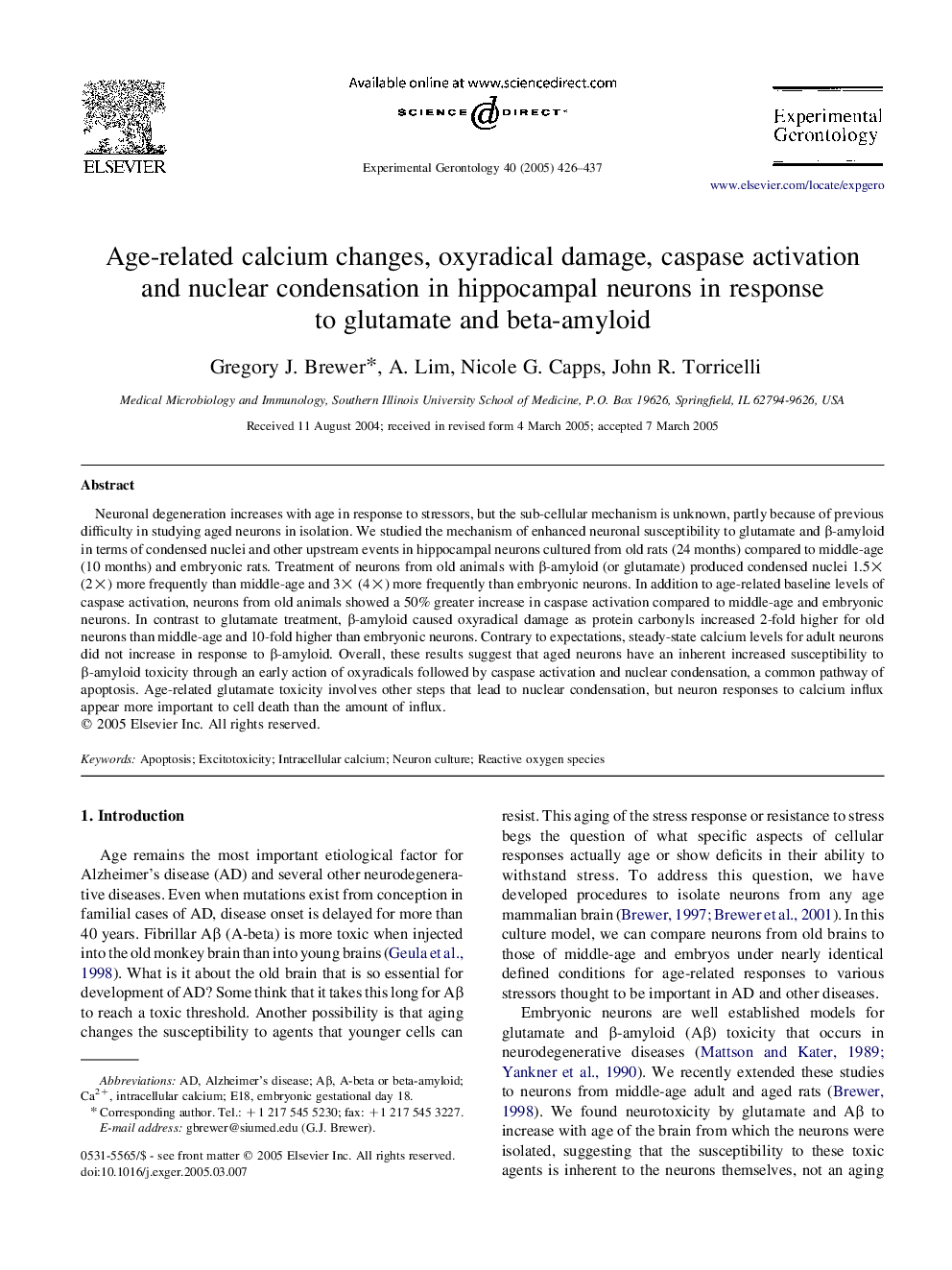 Age-related calcium changes, oxyradical damage, caspase activation and nuclear condensation in hippocampal neurons in response to glutamate and beta-amyloid