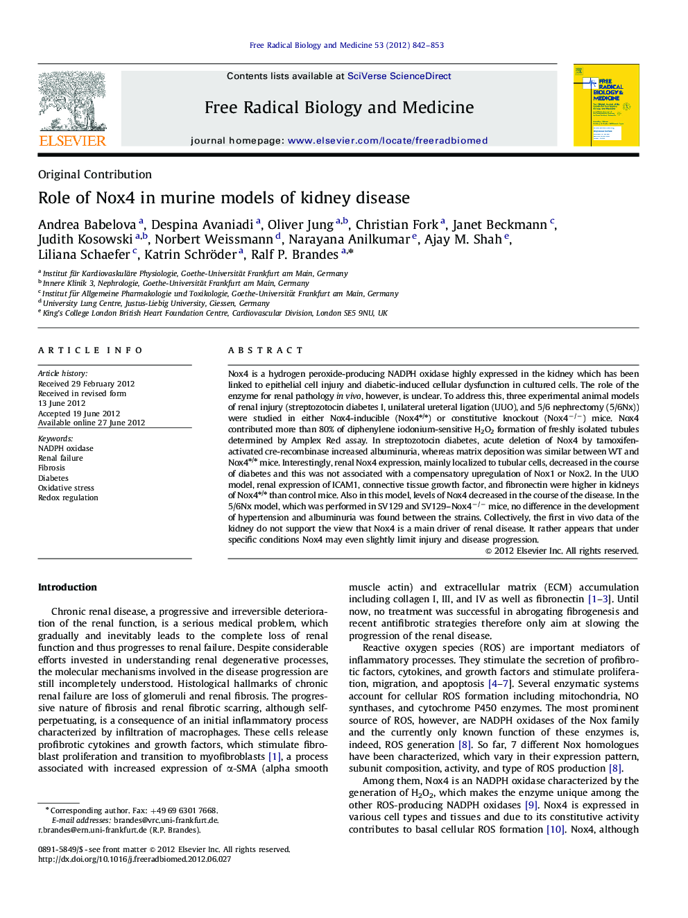 Role of Nox4 in murine models of kidney disease