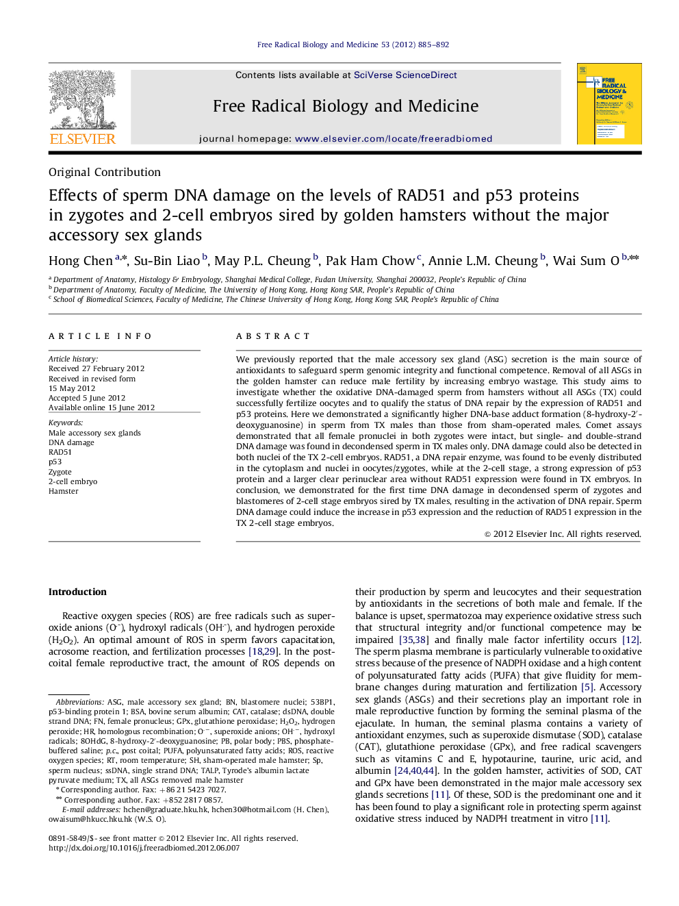 Effects of sperm DNA damage on the levels of RAD51 and p53 proteins in zygotes and 2-cell embryos sired by golden hamsters without the major accessory sex glands