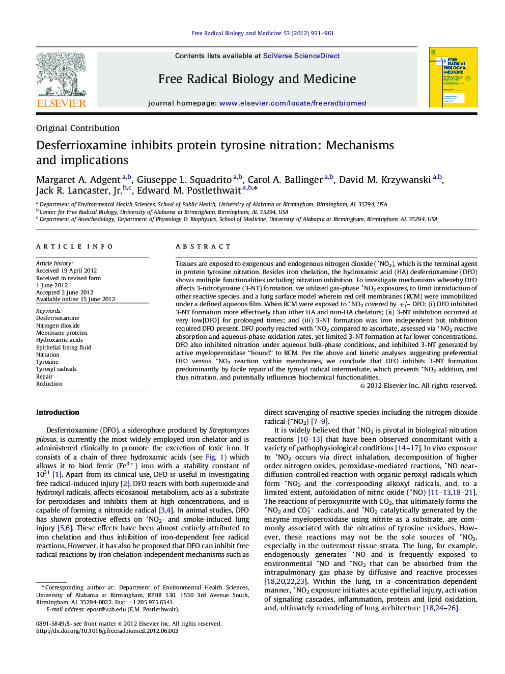 Desferrioxamine inhibits protein tyrosine nitration: Mechanisms and implications