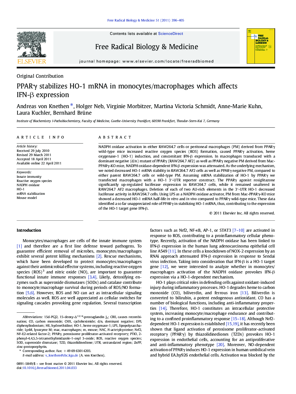 PPARÎ³ stabilizes HO-1 mRNA in monocytes/macrophages which affects IFN-Î² expression