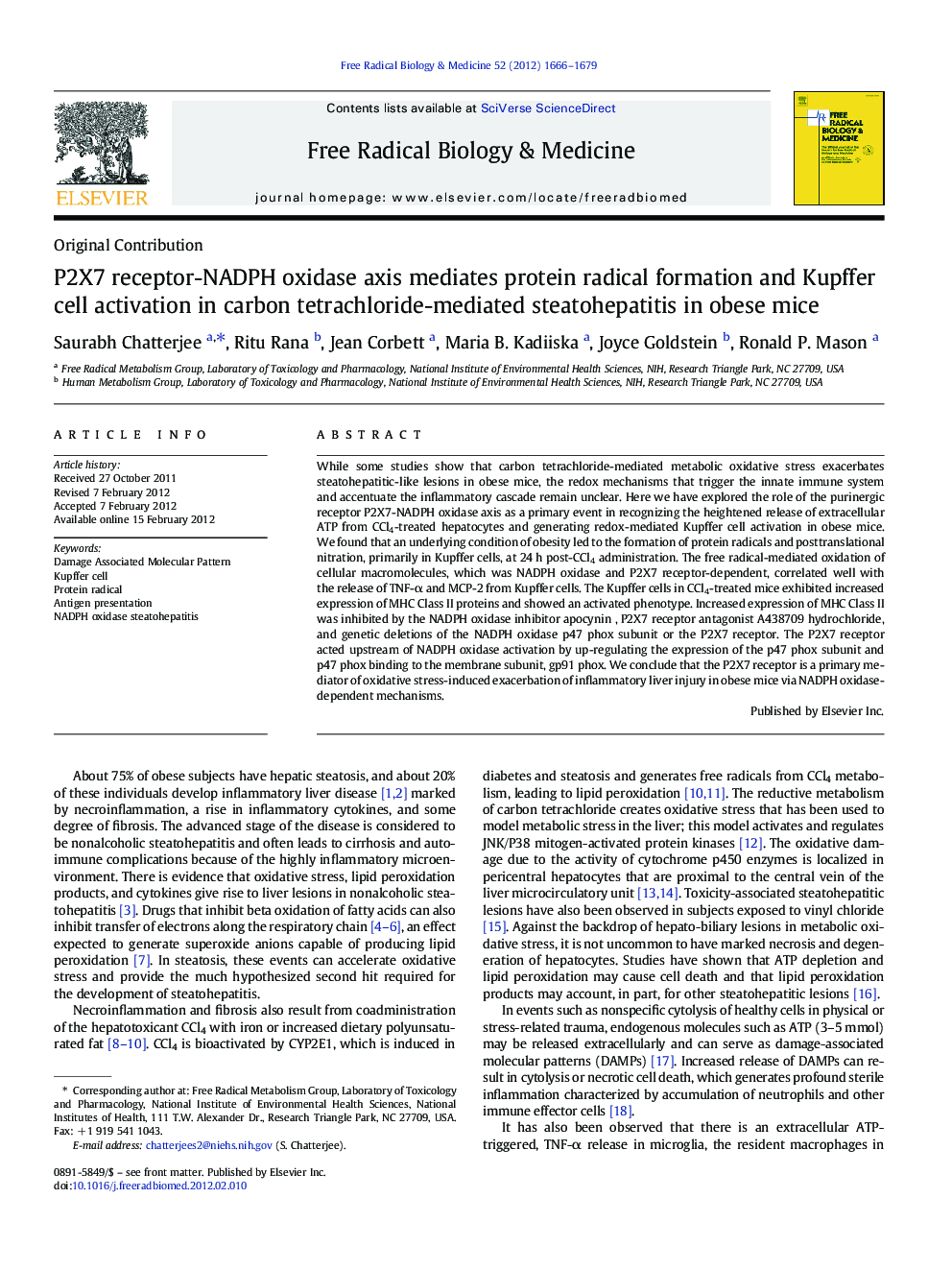 P2X7 receptor-NADPH oxidase axis mediates protein radical formation and Kupffer cell activation in carbon tetrachloride-mediated steatohepatitis in obese mice