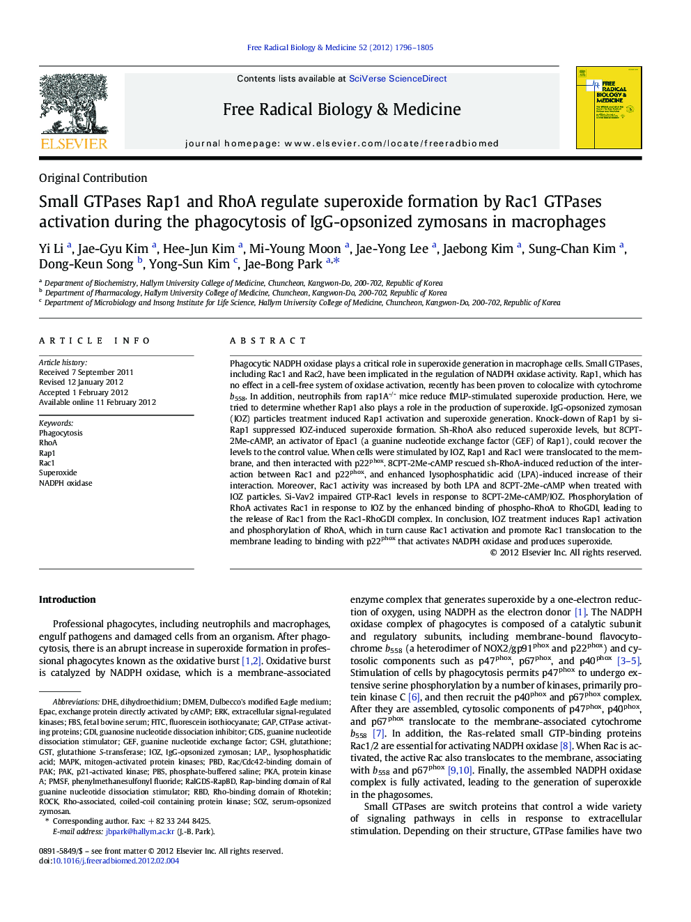 Small GTPases Rap1 and RhoA regulate superoxide formation by Rac1 GTPases activation during the phagocytosis of IgG-opsonized zymosans in macrophages