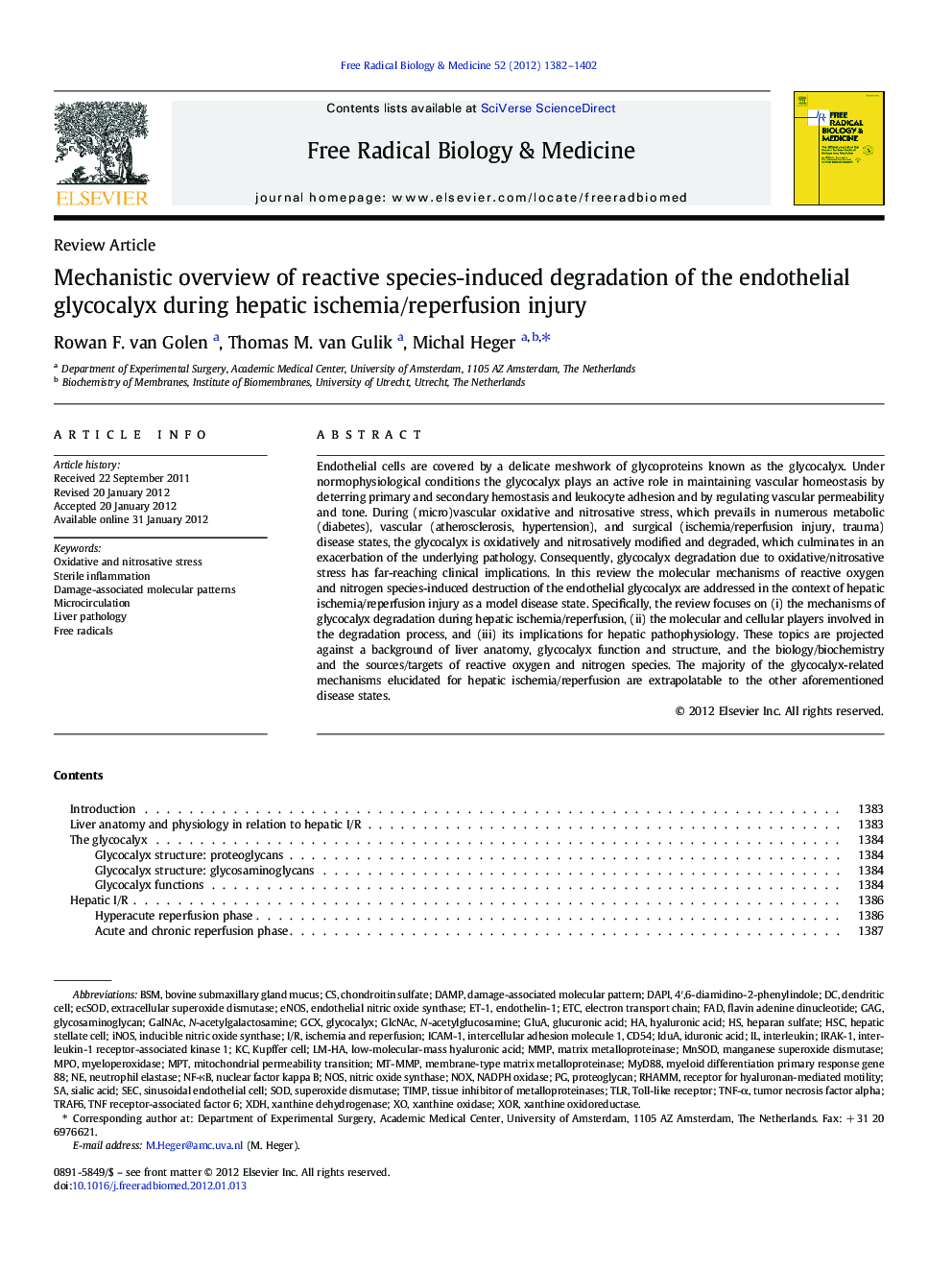 Mechanistic overview of reactive species-induced degradation of the endothelial glycocalyx during hepatic ischemia/reperfusion injury