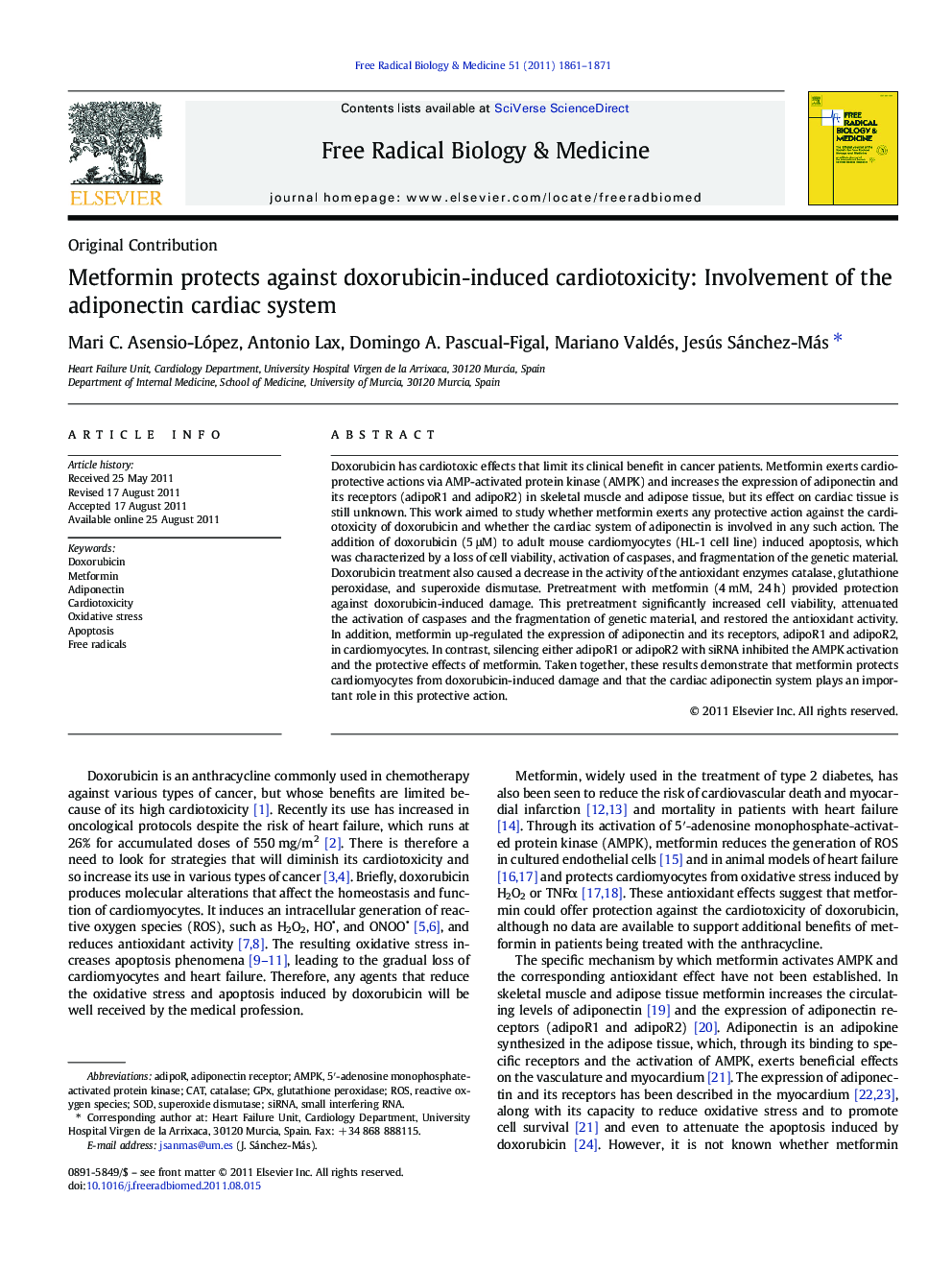 Metformin protects against doxorubicin-induced cardiotoxicity: Involvement of the adiponectin cardiac system