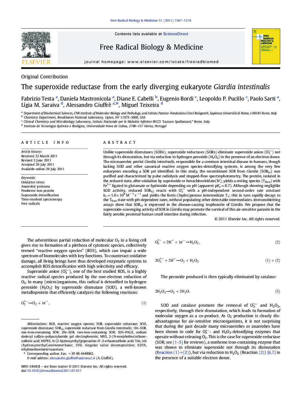 The superoxide reductase from the early diverging eukaryote Giardia intestinalis