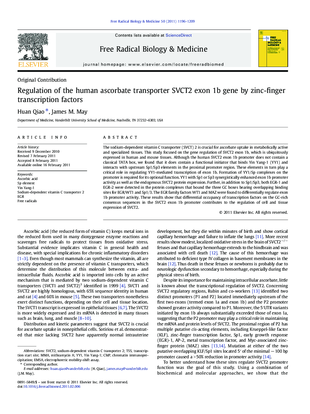 Regulation of the human ascorbate transporter SVCT2 exon 1b gene by zinc-finger transcription factors
