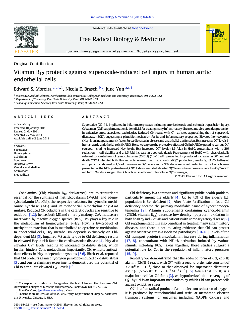 Vitamin B12 protects against superoxide-induced cell injury in human aortic endothelial cells