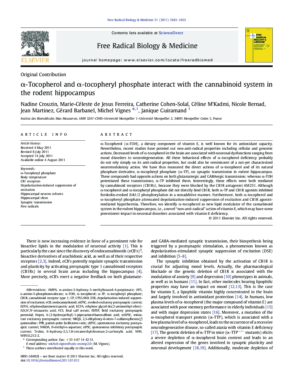 Î±-Tocopherol and Î±-tocopheryl phosphate interact with the cannabinoid system in the rodent hippocampus