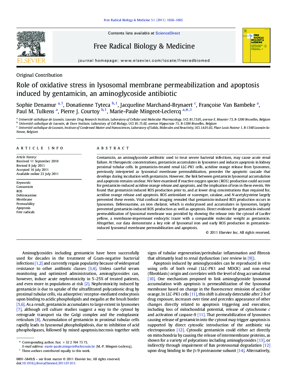 Role of oxidative stress in lysosomal membrane permeabilization and apoptosis induced by gentamicin, an aminoglycoside antibiotic