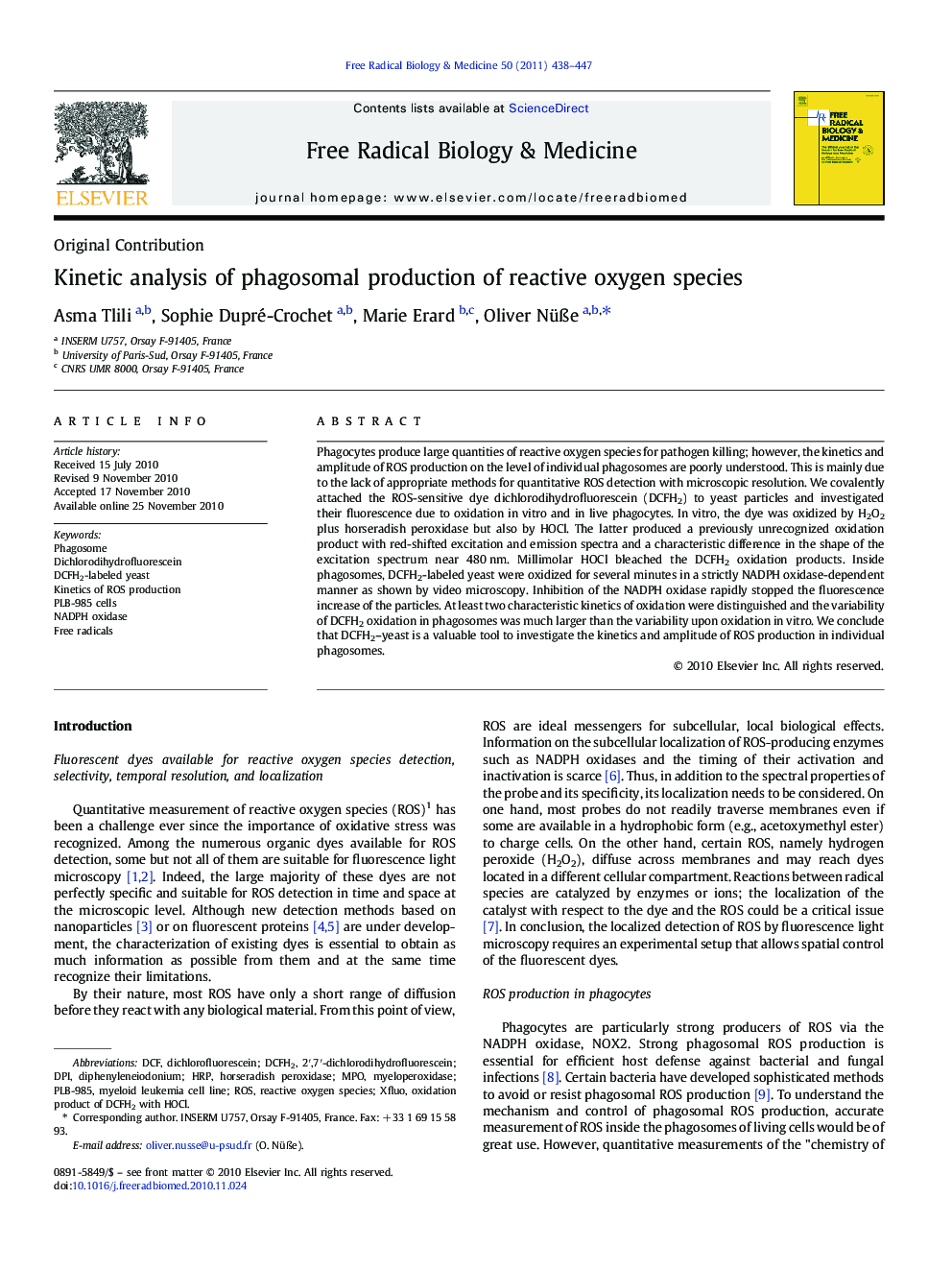 Kinetic analysis of phagosomal production of reactive oxygen species