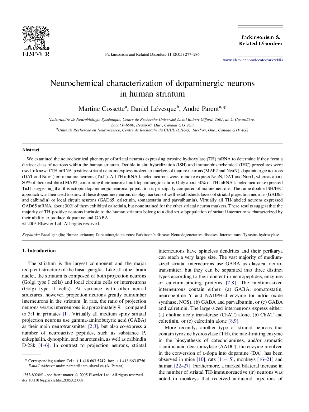 Neurochemical characterization of dopaminergic neurons in human striatum