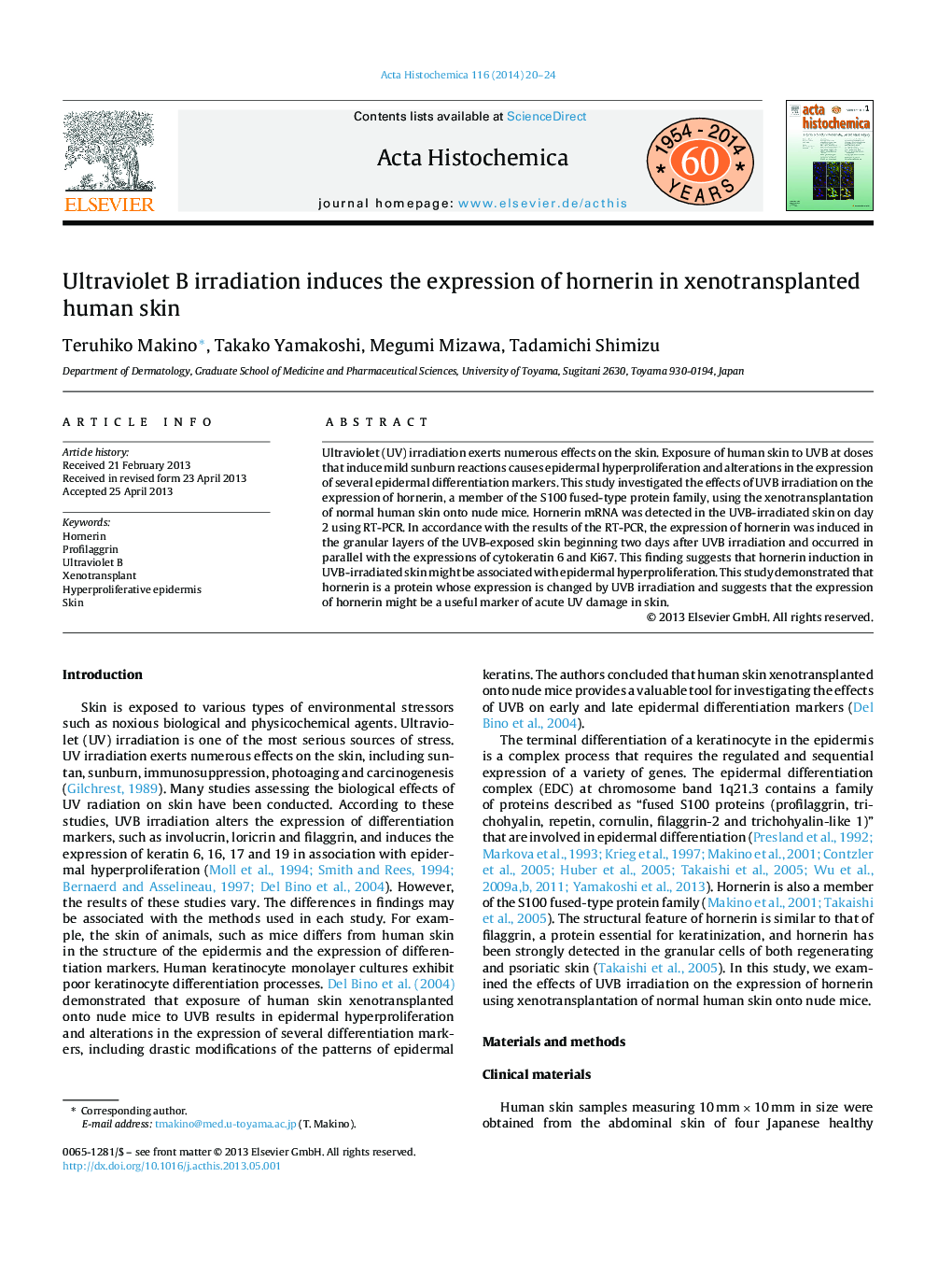 Ultraviolet B irradiation induces the expression of hornerin in xenotransplanted human skin