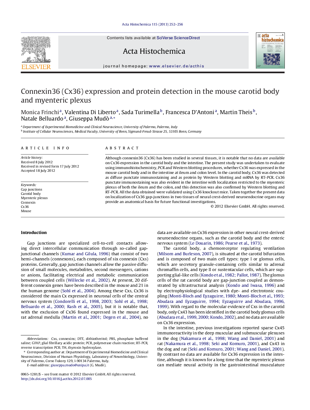 Connexin36 (Cx36) expression and protein detection in the mouse carotid body and myenteric plexus