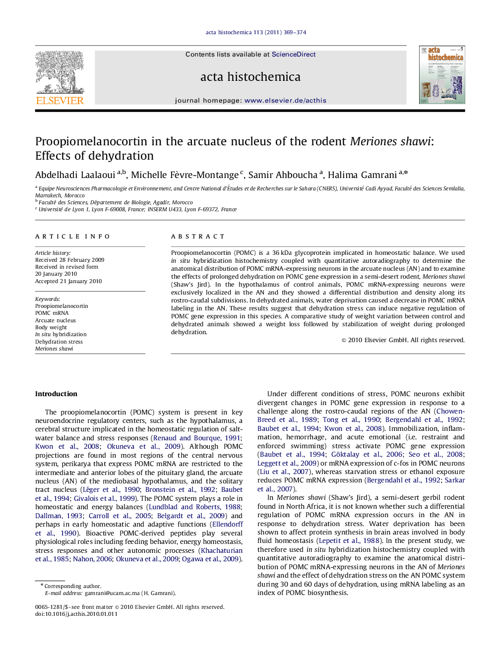 Proopiomelanocortin in the arcuate nucleus of the rodent Meriones shawi: Effects of dehydration