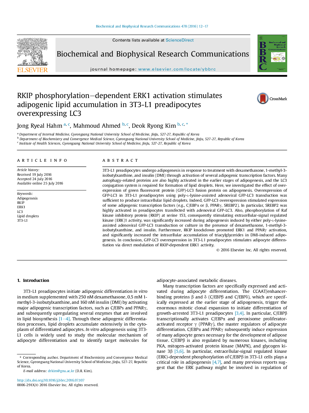 RKIP phosphorylation-dependent ERK1 activation stimulates adipogenic lipid accumulation in 3T3-L1 preadipocytes overexpressing LC3