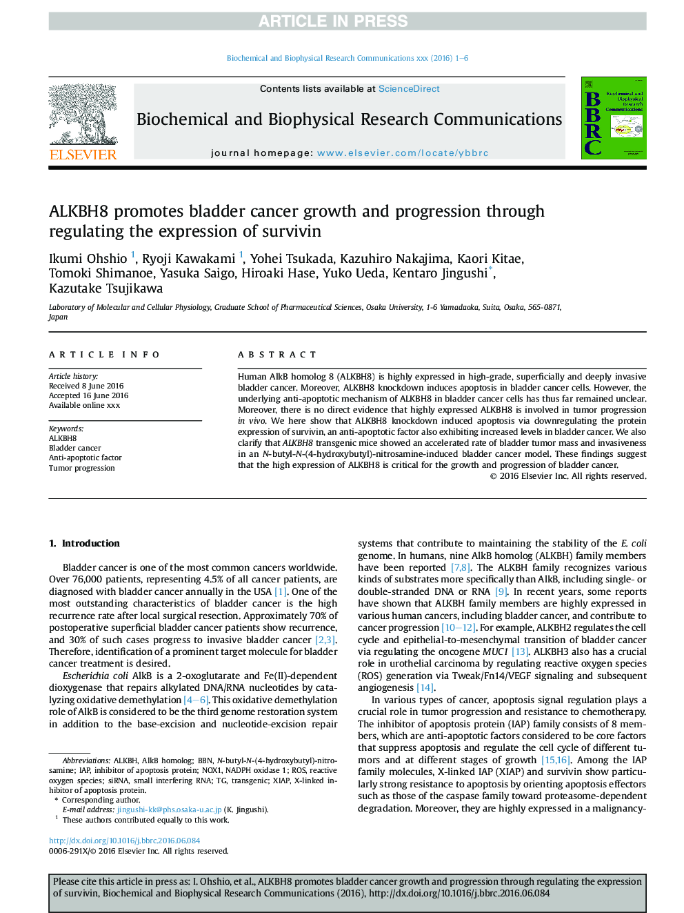 ALKBH8 promotes bladder cancer growth and progression through regulating the expression of survivin