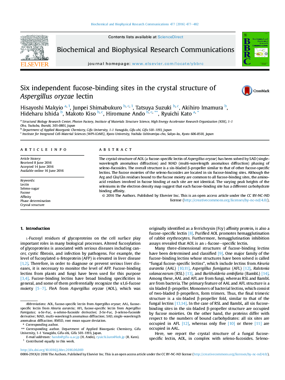 Six independent fucose-binding sites in the crystal structure of Aspergillus oryzae lectin