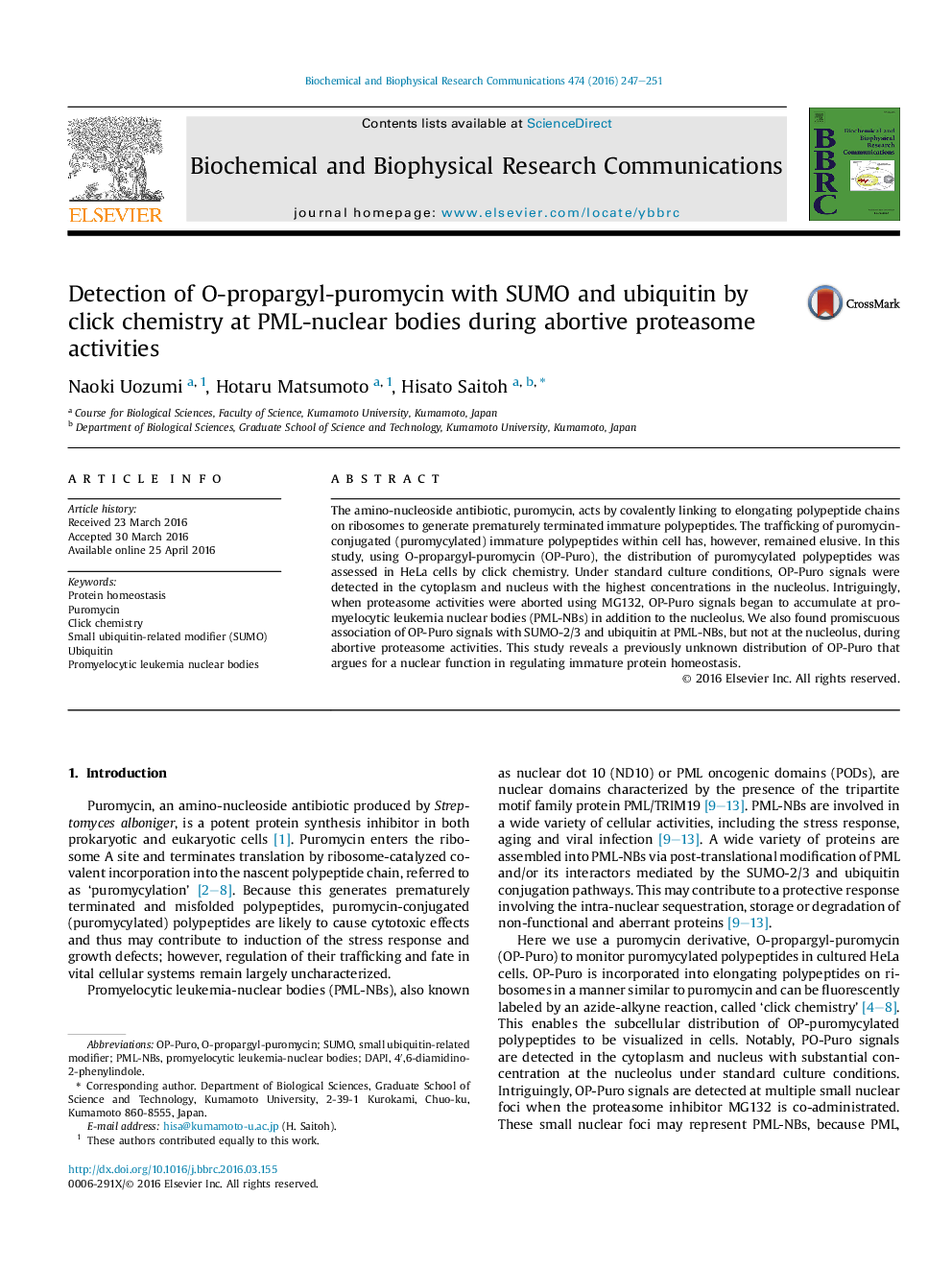 Detection of O-propargyl-puromycin with SUMO and ubiquitin by click chemistry at PML-nuclear bodies during abortive proteasome activities