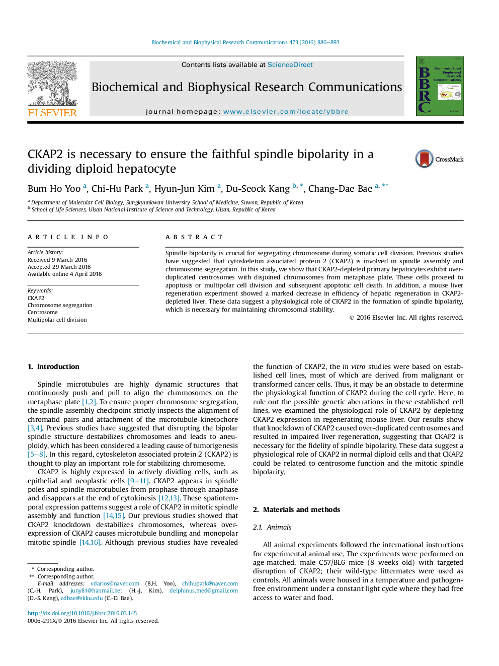 CKAP2 is necessary to ensure the faithful spindle bipolarity in a dividing diploid hepatocyte