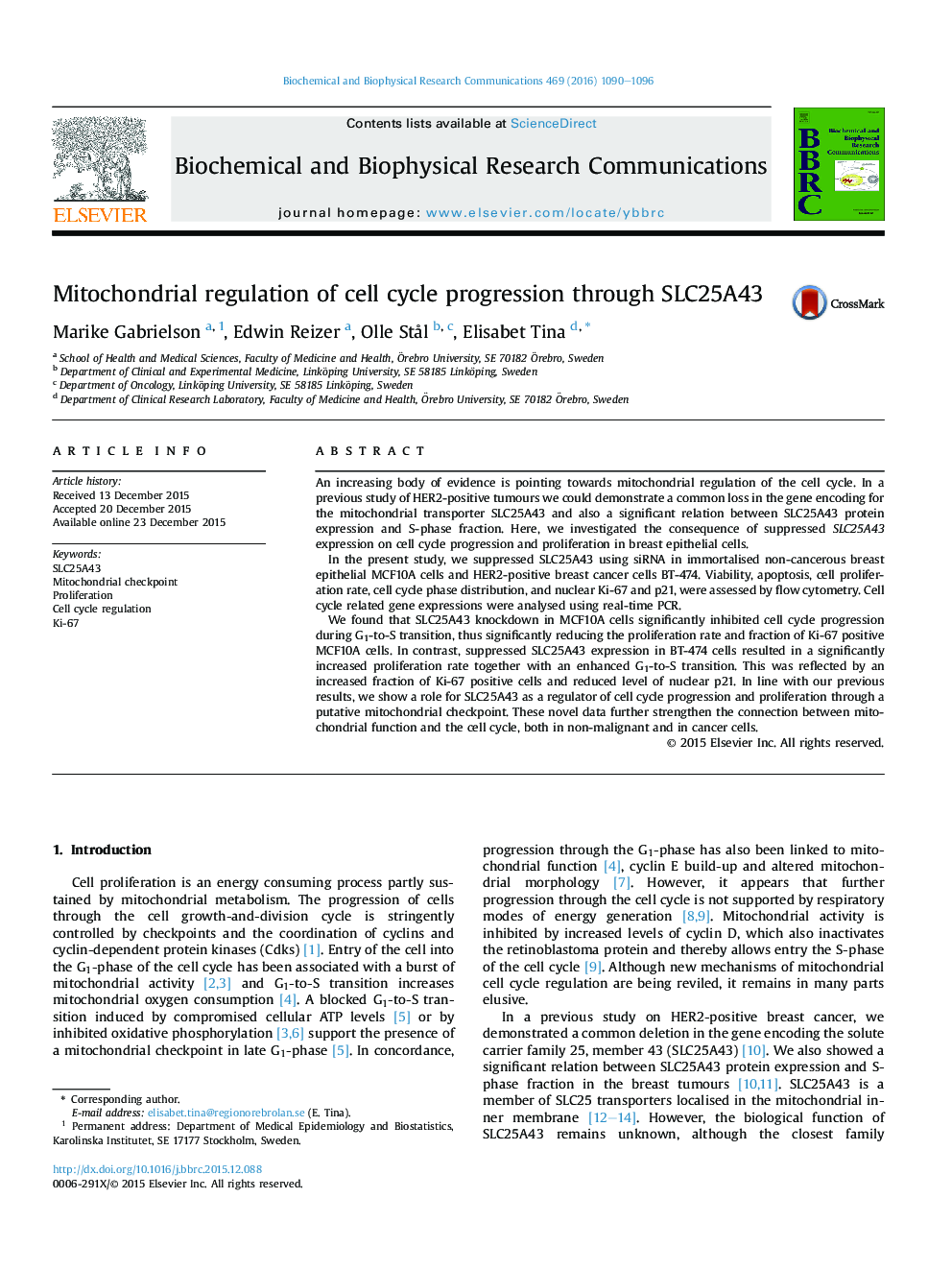 Mitochondrial regulation of cell cycle progression through SLC25A43