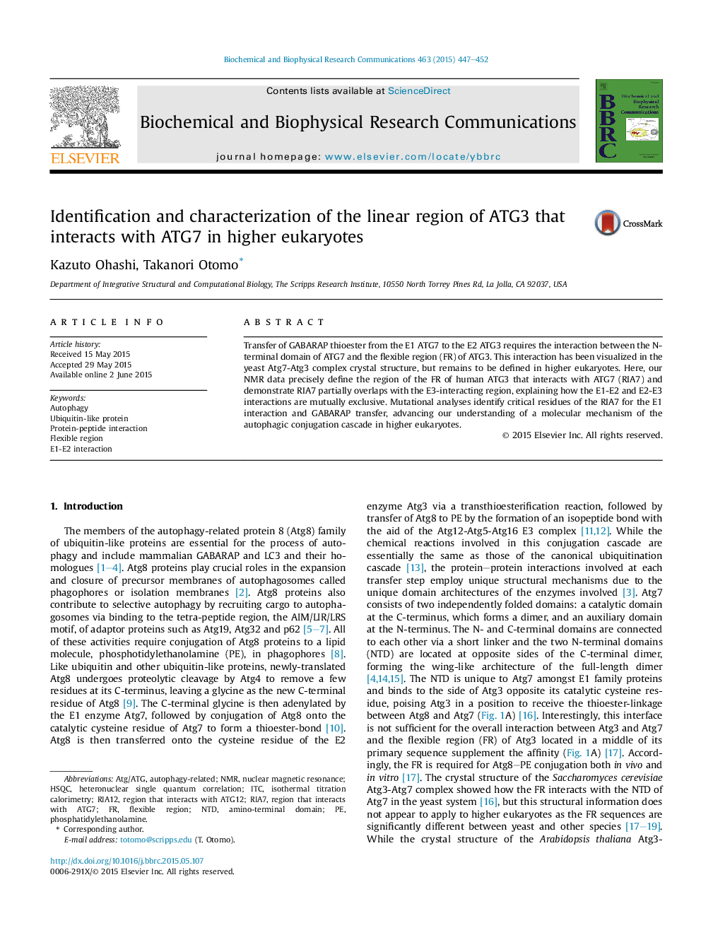 Identification and characterization of the linear region of ATG3 that interacts with ATG7 in higher eukaryotes