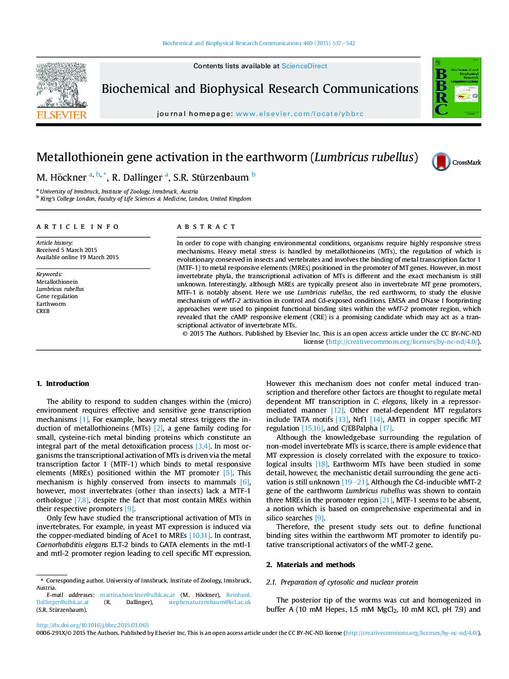 Metallothionein gene activation in the earthworm (Lumbricus rubellus)