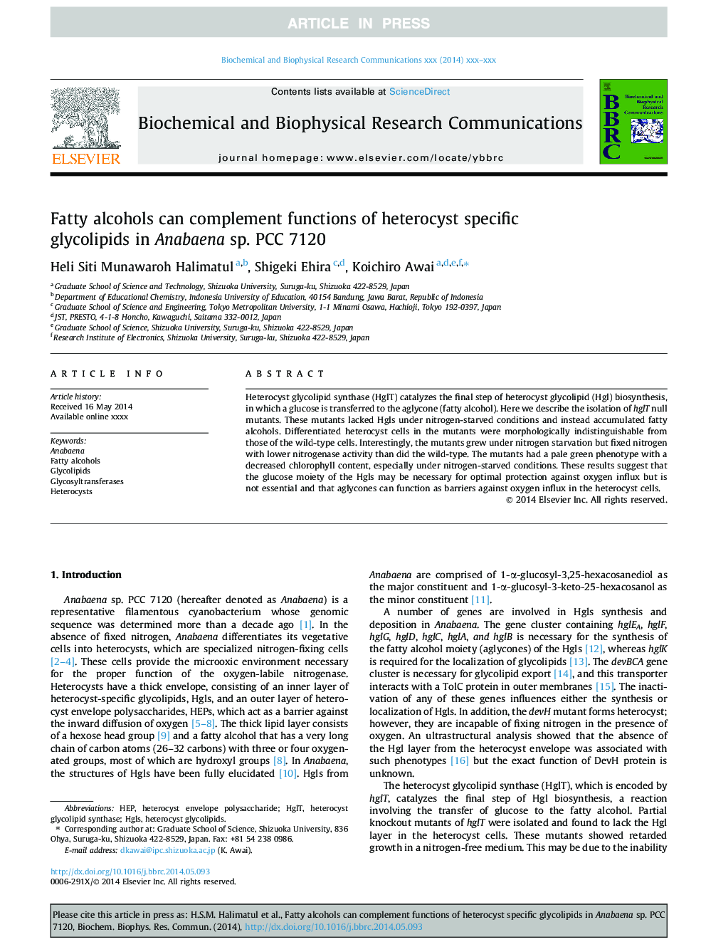 Fatty alcohols can complement functions of heterocyst specific glycolipids in Anabaena sp. PCC 7120