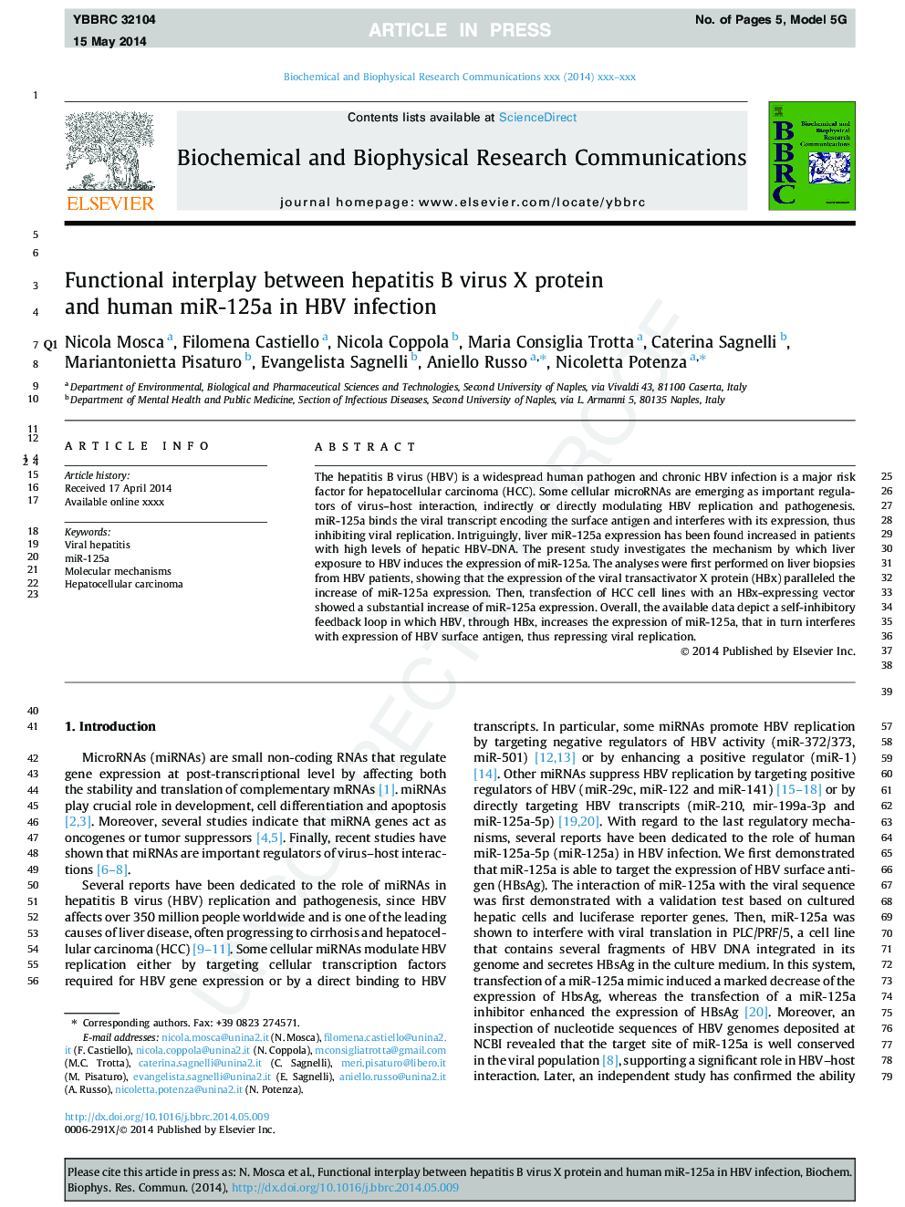 Functional interplay between hepatitis B virus X protein and human miR-125a in HBV infection