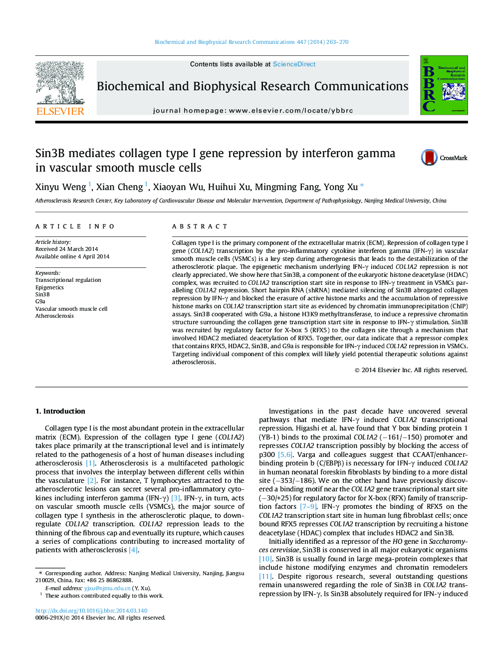 Sin3B mediates collagen type I gene repression by interferon gamma in vascular smooth muscle cells