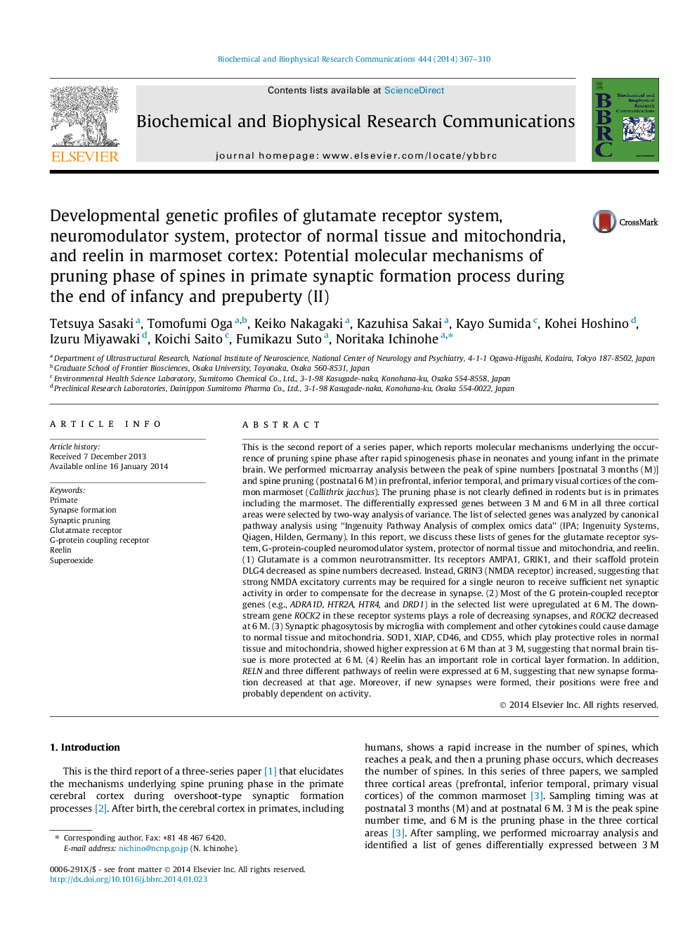 Developmental genetic profiles of glutamate receptor system, neuromodulator system, protector of normal tissue and mitochondria, and reelin in marmoset cortex: Potential molecular mechanisms of pruning phase of spines in primate synaptic formation process