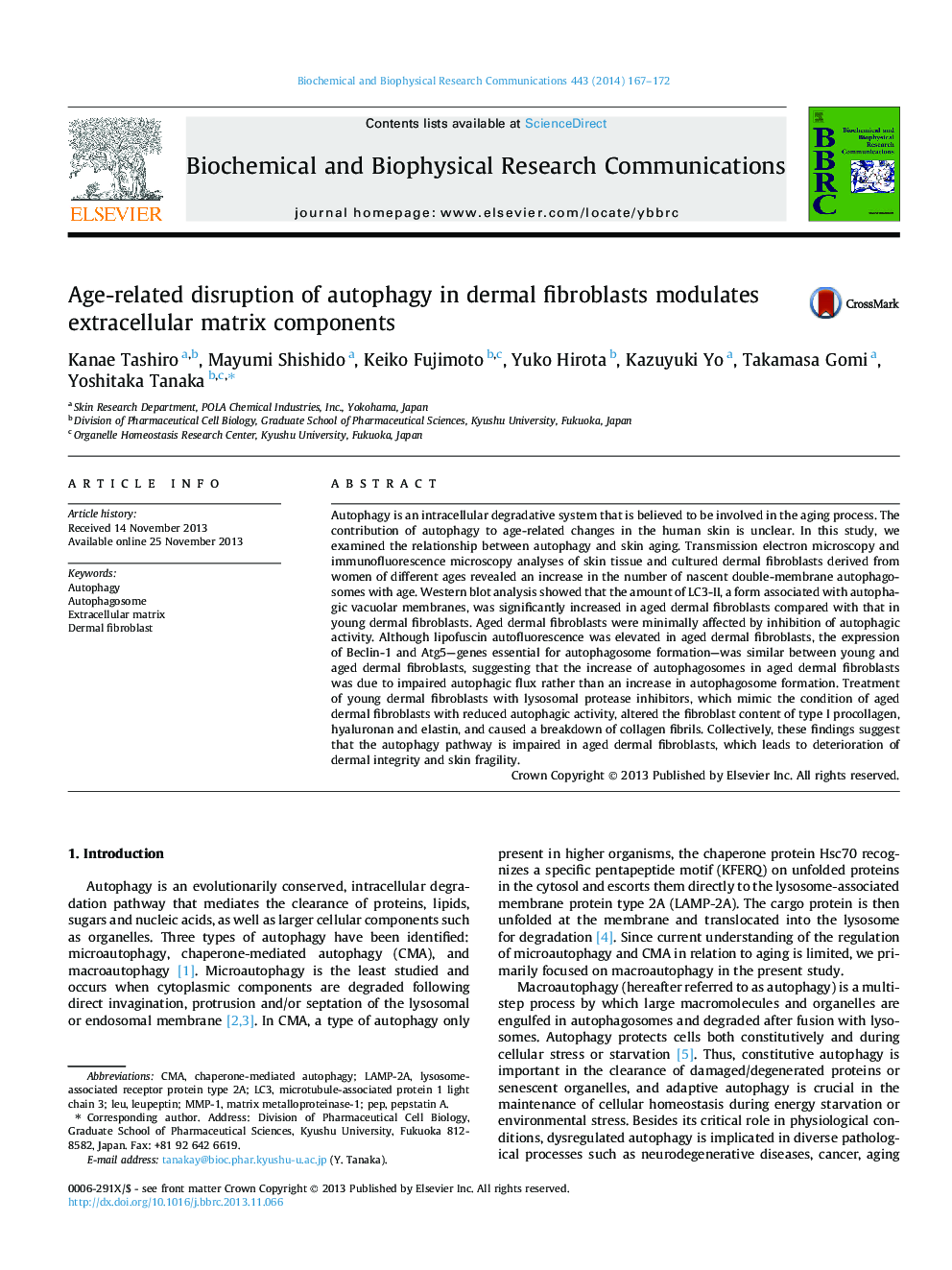 Age-related disruption of autophagy in dermal fibroblasts modulates extracellular matrix components