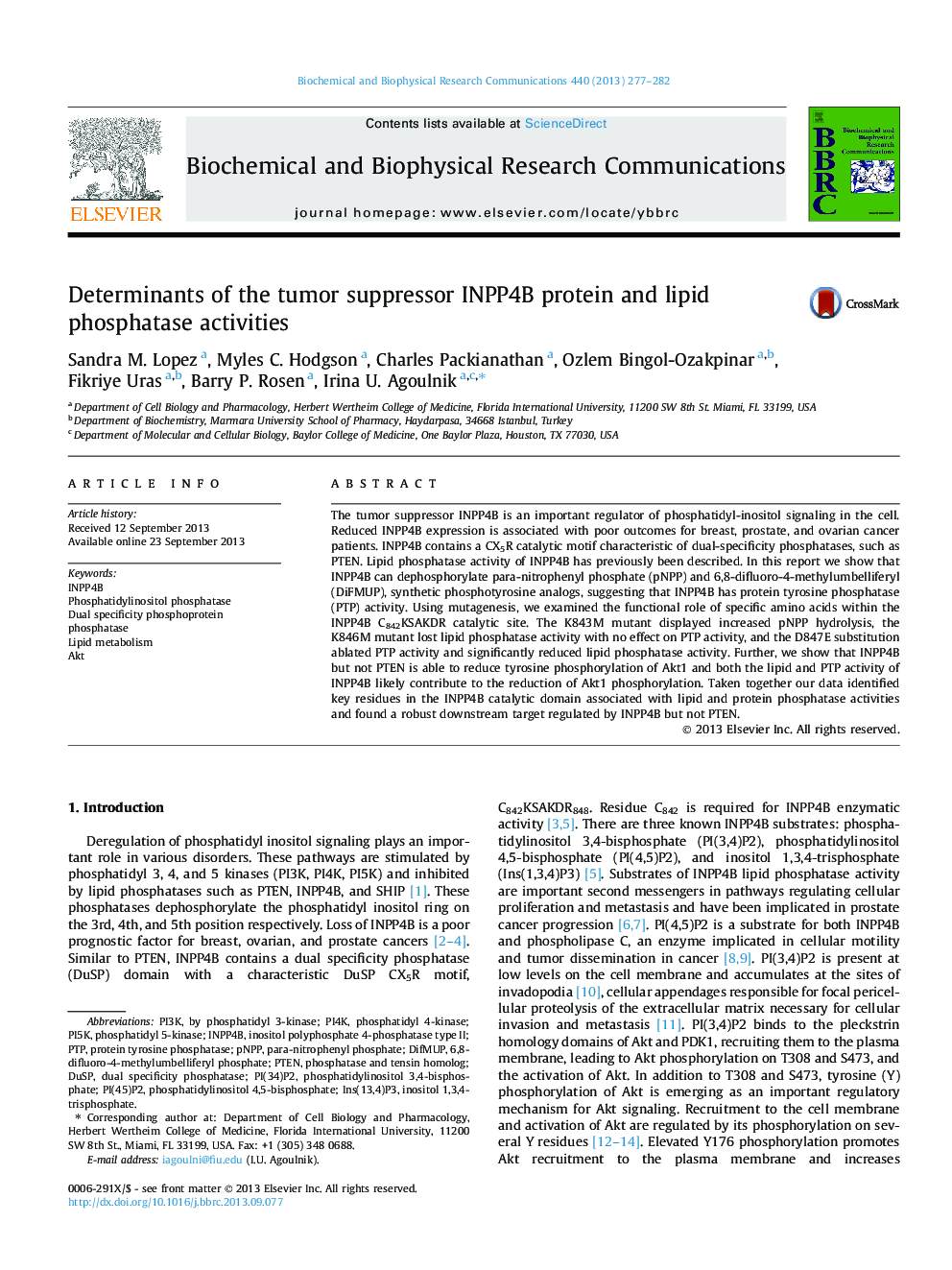 Determinants of the tumor suppressor INPP4B protein and lipid phosphatase activities