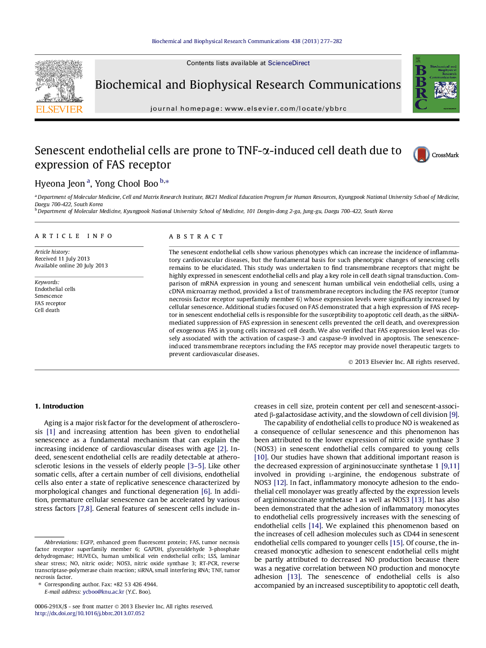 Senescent endothelial cells are prone to TNF-Î±-induced cell death due to expression of FAS receptor