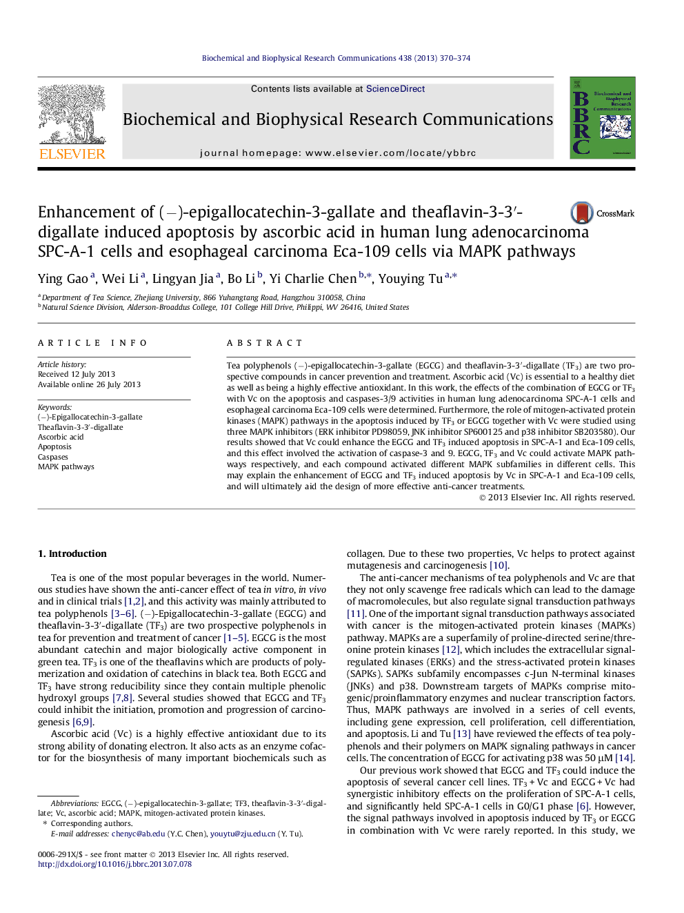 Enhancement of (â)-epigallocatechin-3-gallate and theaflavin-3-3â²-digallate induced apoptosis by ascorbic acid in human lung adenocarcinoma SPC-A-1 cells and esophageal carcinoma Eca-109 cells via MAPK pathways