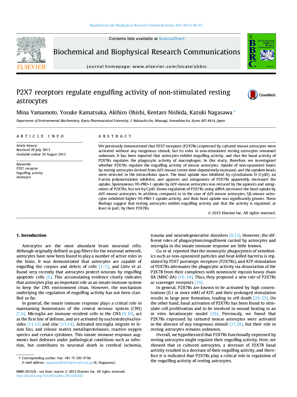 P2X7 receptors regulate engulfing activity of non-stimulated resting astrocytes