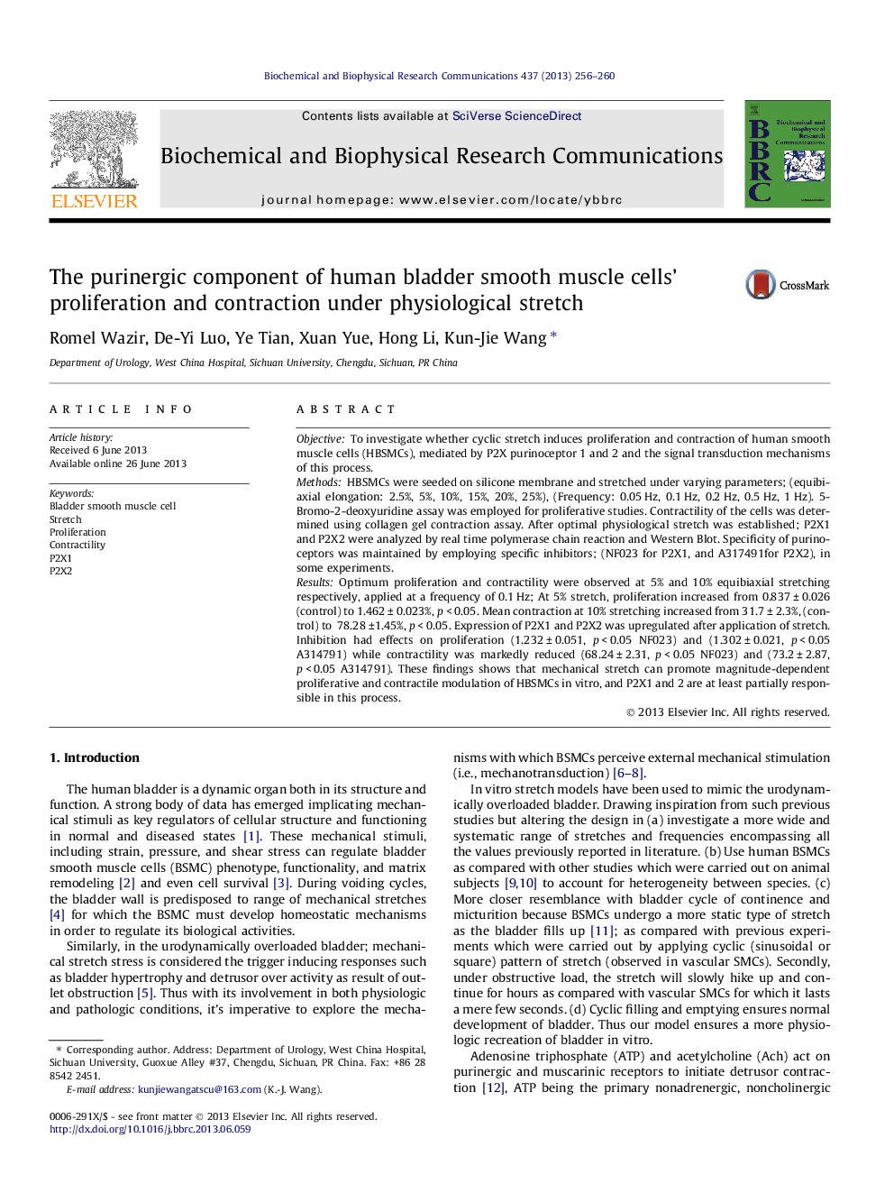 The purinergic component of human bladder smooth muscle cells' proliferation and contraction under physiological stretch