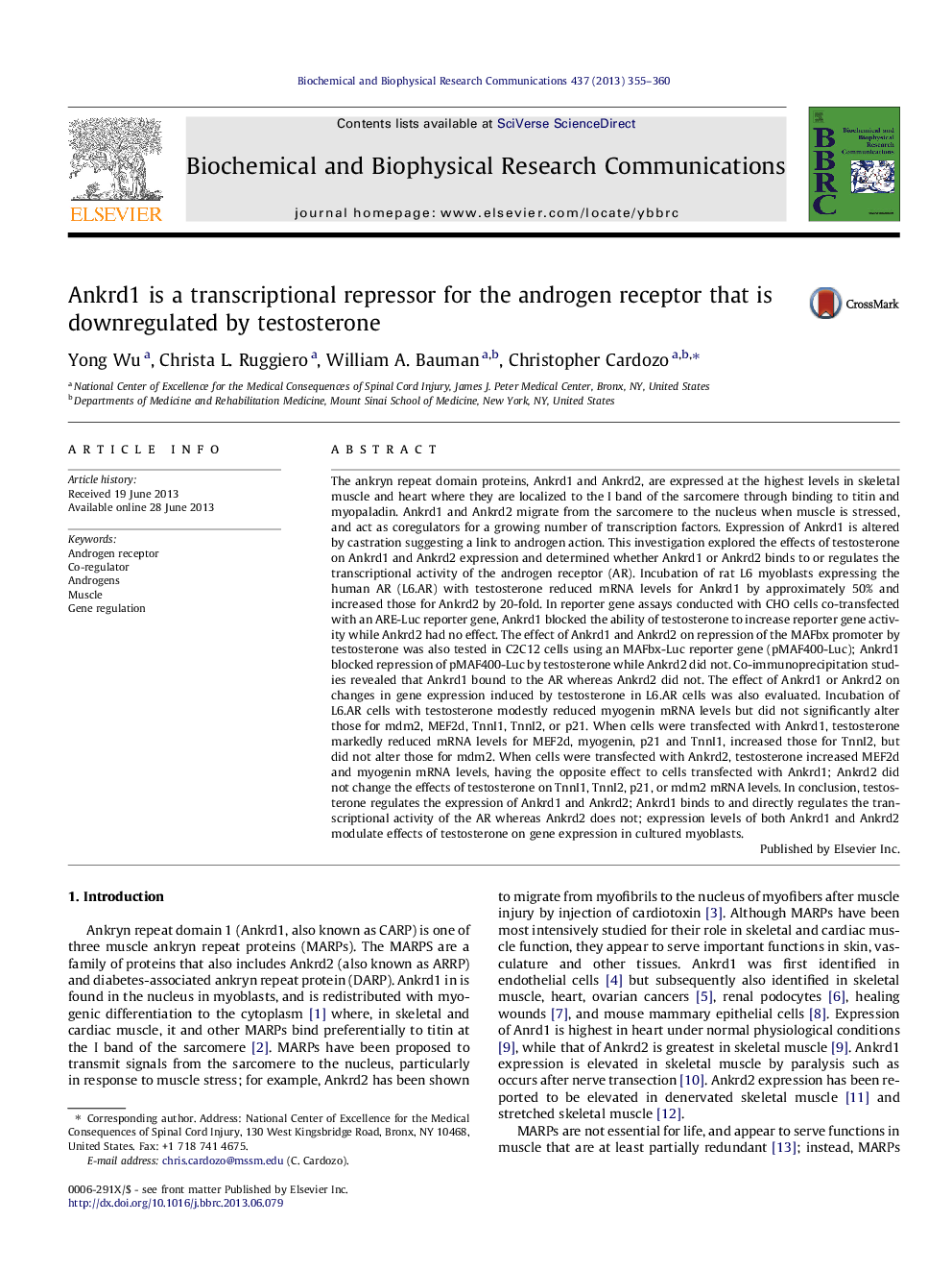 Ankrd1 is a transcriptional repressor for the androgen receptor that is downregulated by testosterone