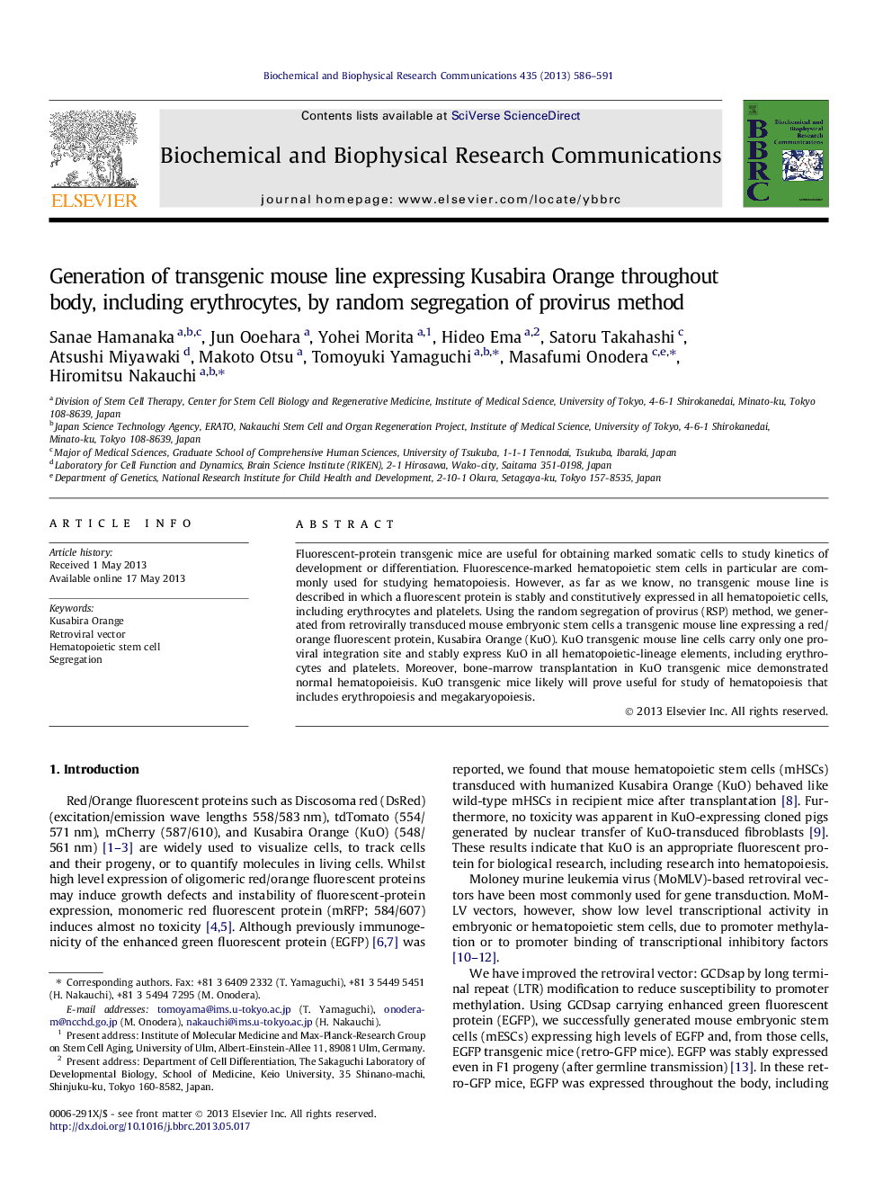 Generation of transgenic mouse line expressing Kusabira Orange throughout body, including erythrocytes, by random segregation of provirus method