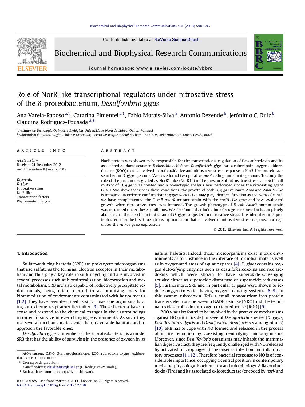 Role of NorR-like transcriptional regulators under nitrosative stress of the Î´-proteobacterium, Desulfovibrio gigas