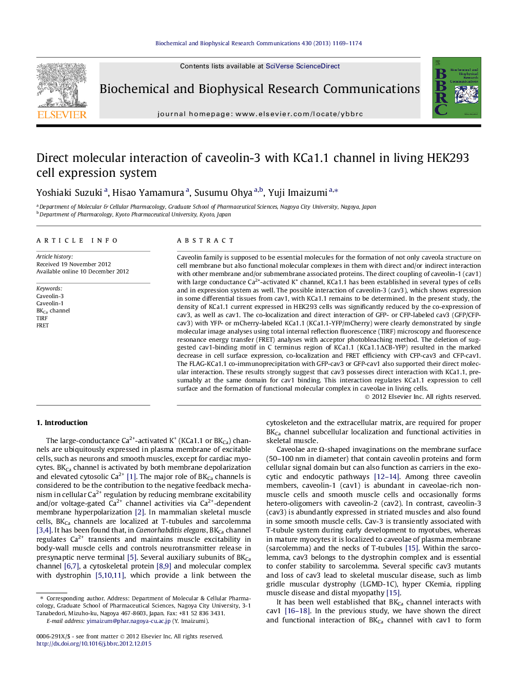 Direct molecular interaction of caveolin-3 with KCa1.1 channel in living HEK293 cell expression system