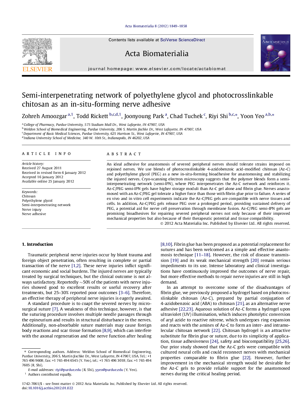 Semi-interpenetrating network of polyethylene glycol and photocrosslinkable chitosan as an in-situ-forming nerve adhesive