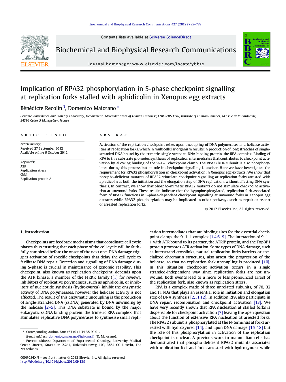 Implication of RPA32 phosphorylation in S-phase checkpoint signalling at replication forks stalled with aphidicolin in Xenopus egg extracts