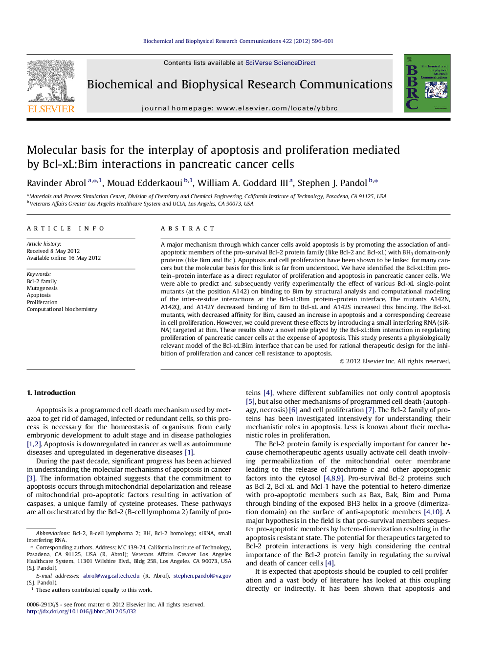 Molecular basis for the interplay of apoptosis and proliferation mediated by Bcl-xL:Bim interactions in pancreatic cancer cells