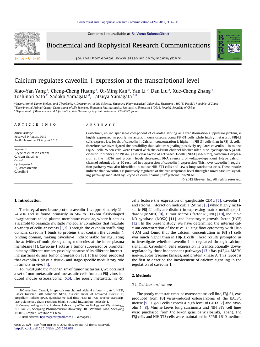 Calcium regulates caveolin-1 expression at the transcriptional level