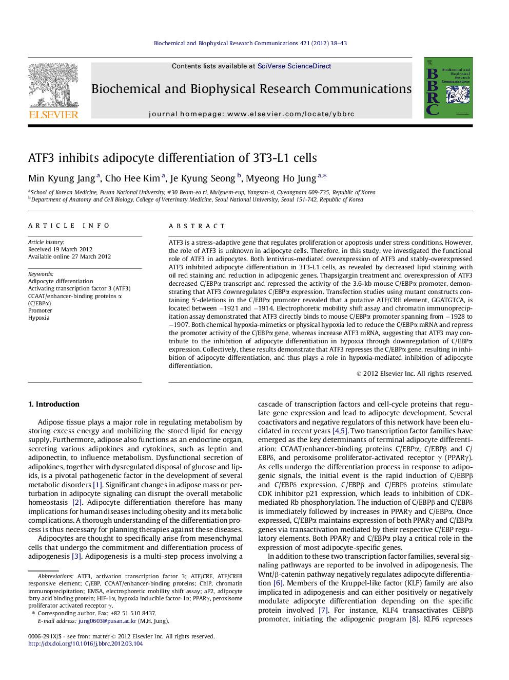 ATF3 inhibits adipocyte differentiation of 3T3-L1 cells