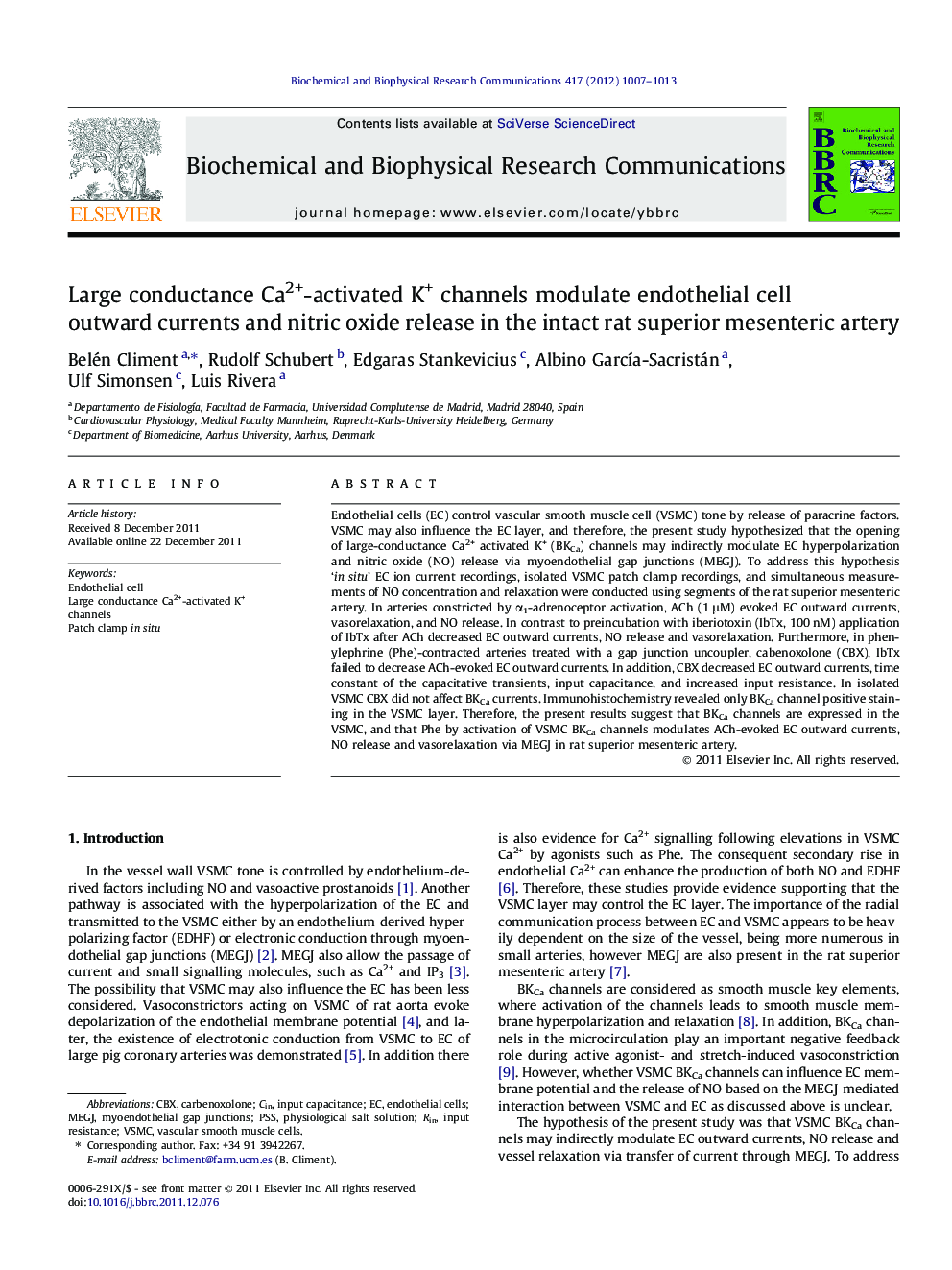 Large conductance Ca2+-activated K+ channels modulate endothelial cell outward currents and nitric oxide release in the intact rat superior mesenteric artery